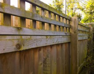Wooden fence with trellis
